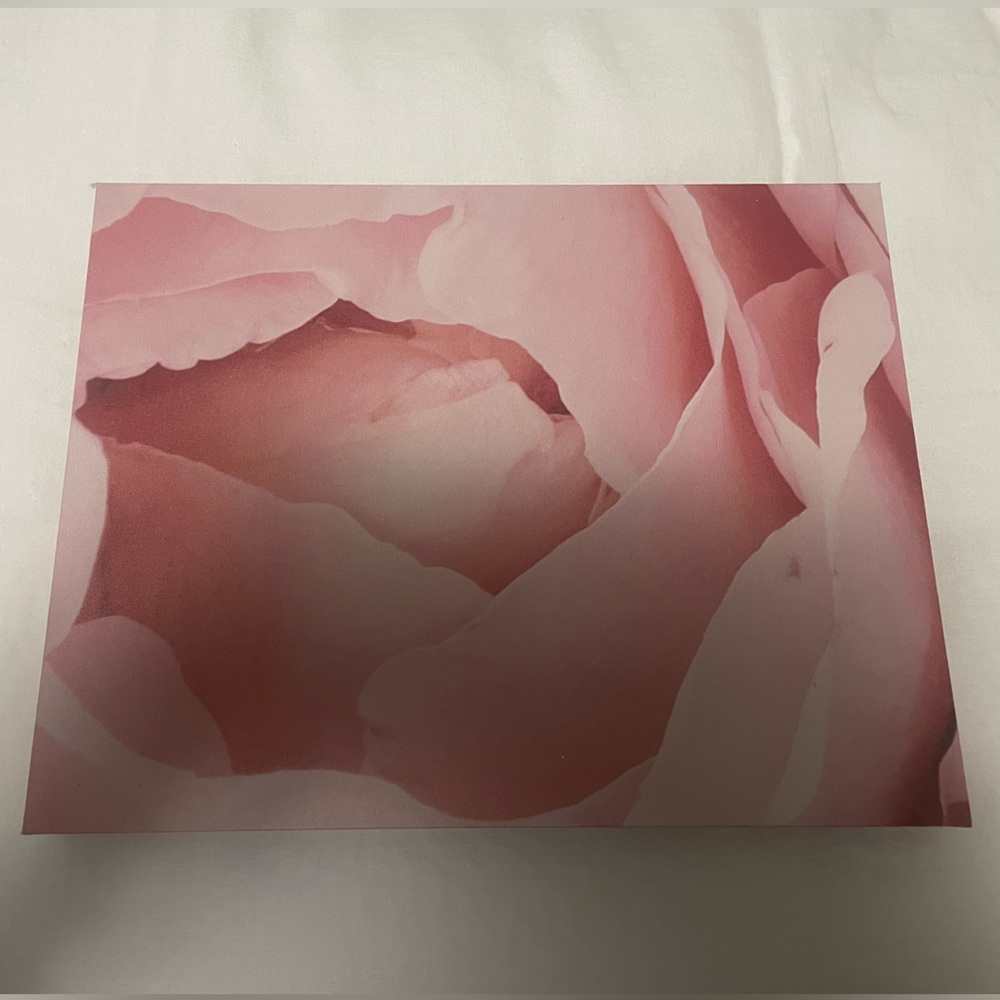 Urban Outfitters Pink Floral Canvas Art